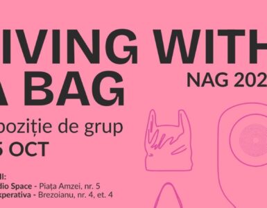 noaptea galeriilor 2025 - coperta v1